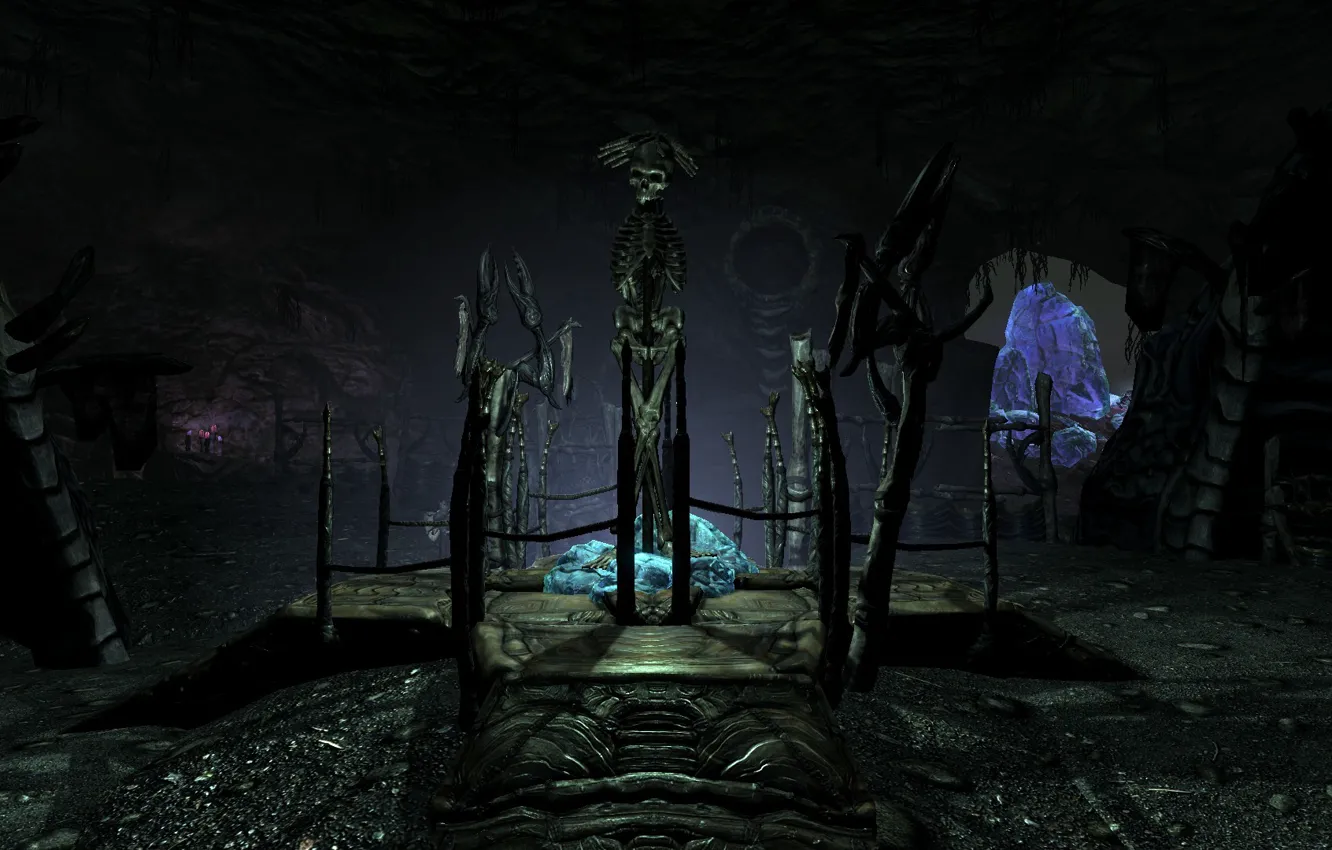Photo wallpaper the game, skeleton, cave, Skyrim, Skyrim, Dawnguard