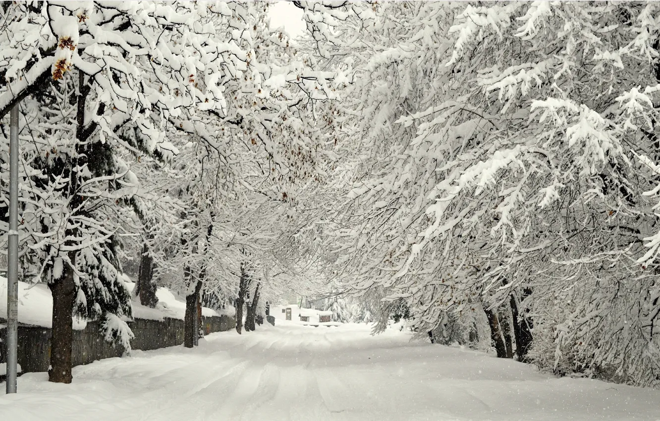 Photo wallpaper Winter, Road, Trees, Snow, Street, Frost, Winter, Frost