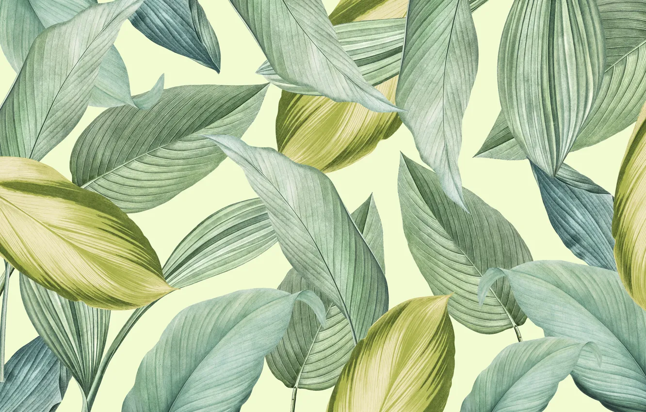 Photo wallpaper leaves, figure, graphics, texture