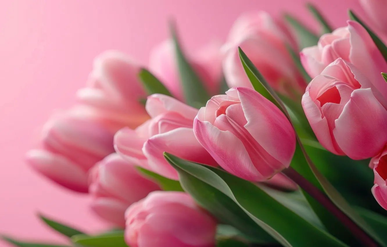 Photo wallpaper flowers, holiday, bouquet, spring, tulips, March 8, AI art, universal holiday background