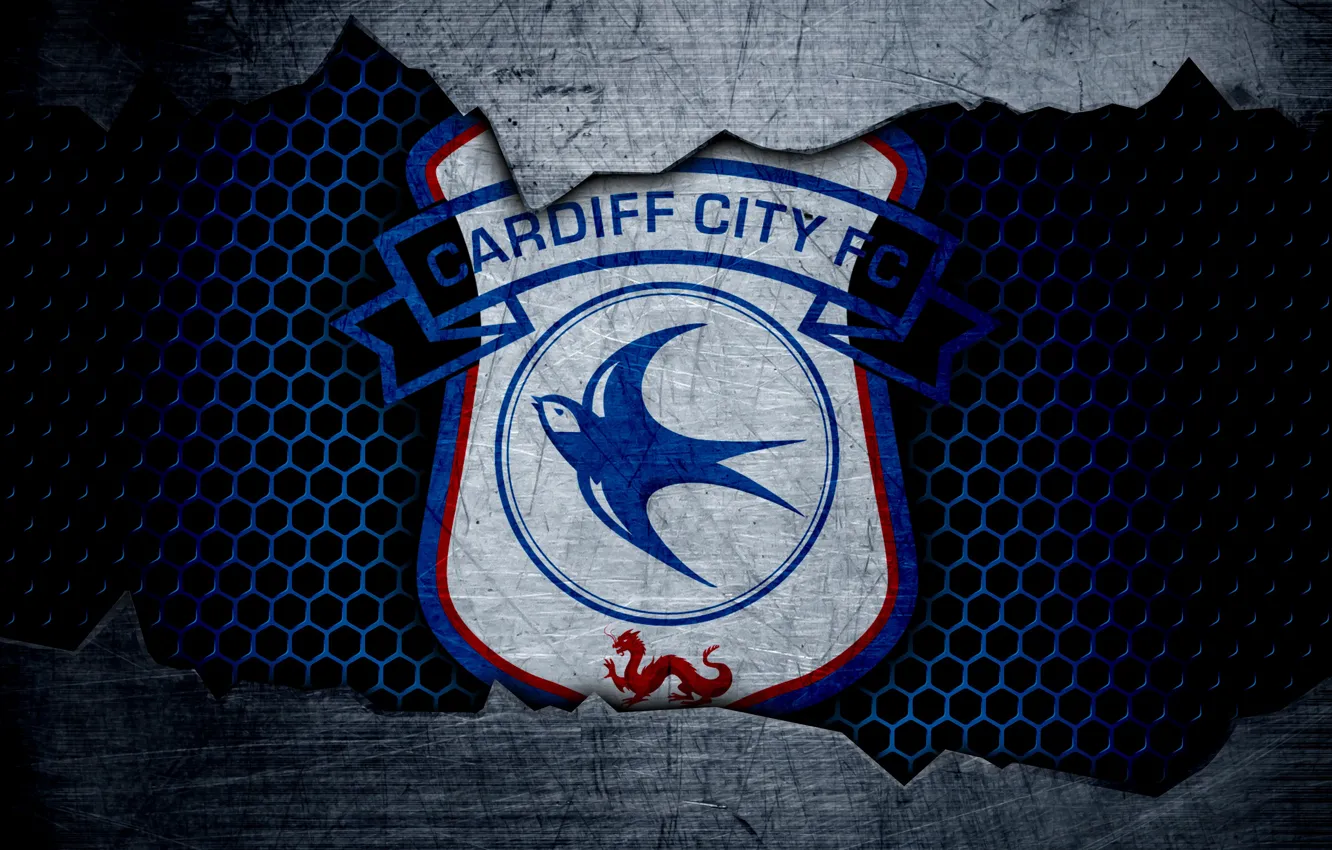 Photo wallpaper wallpaper, sport, logo, football, Cardiff City