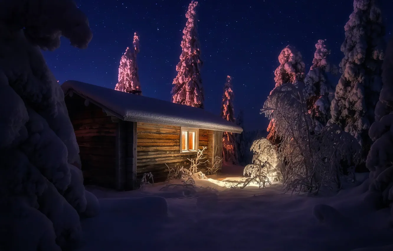 Photo wallpaper winter night, starry sky, Snow trees, Winter night, starry sky, Snow Trees, House in the …