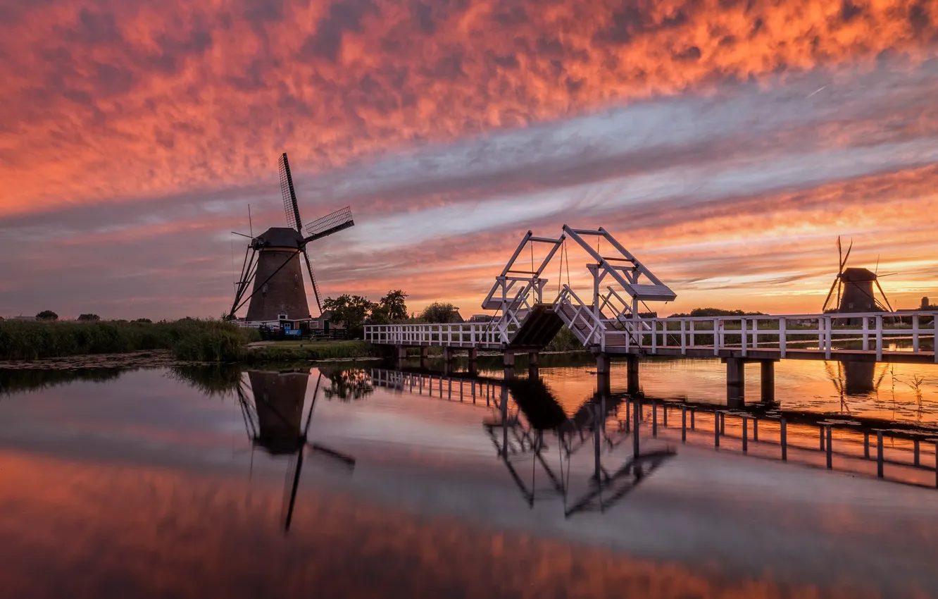 Photo wallpaper the evening, mill, Netherlands, Holland, Kinderdijk