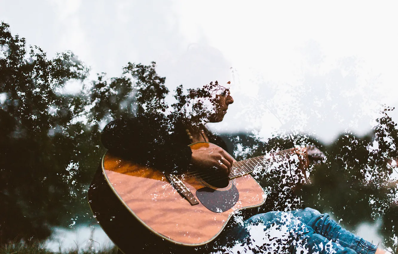 Photo wallpaper guitar, Music, trees, branches, musician