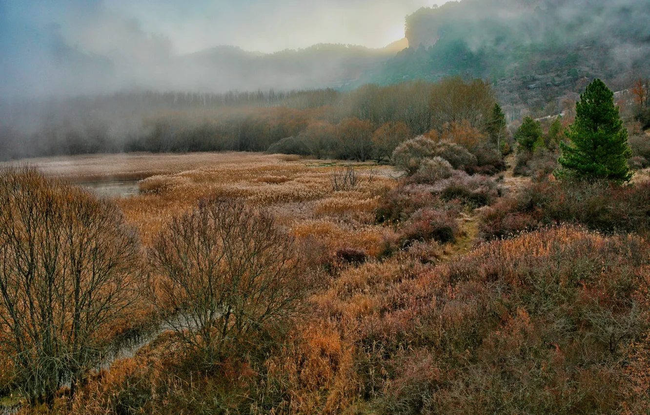 Photo wallpaper autumn, landscape, fog, Bay, gorge, Spain, Laguna, gloomy