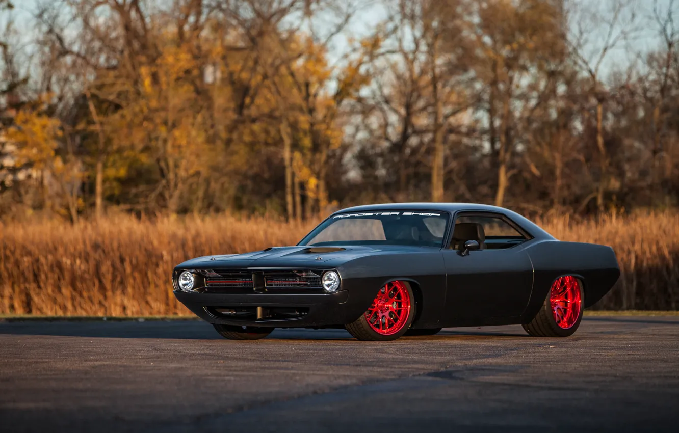 Photo wallpaper Plymouth, Cuda, Wheels, DE3C