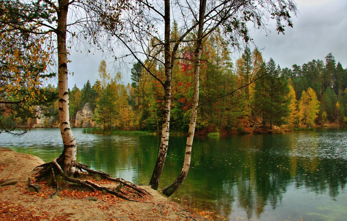 Photo wallpaper autumn, trees, nature, river