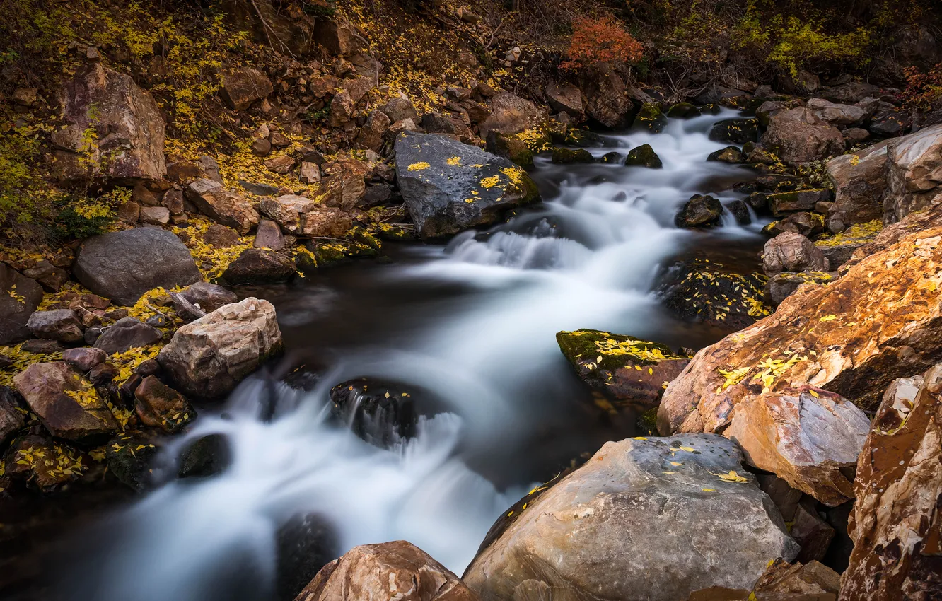 Photo wallpaper stream, stones, river