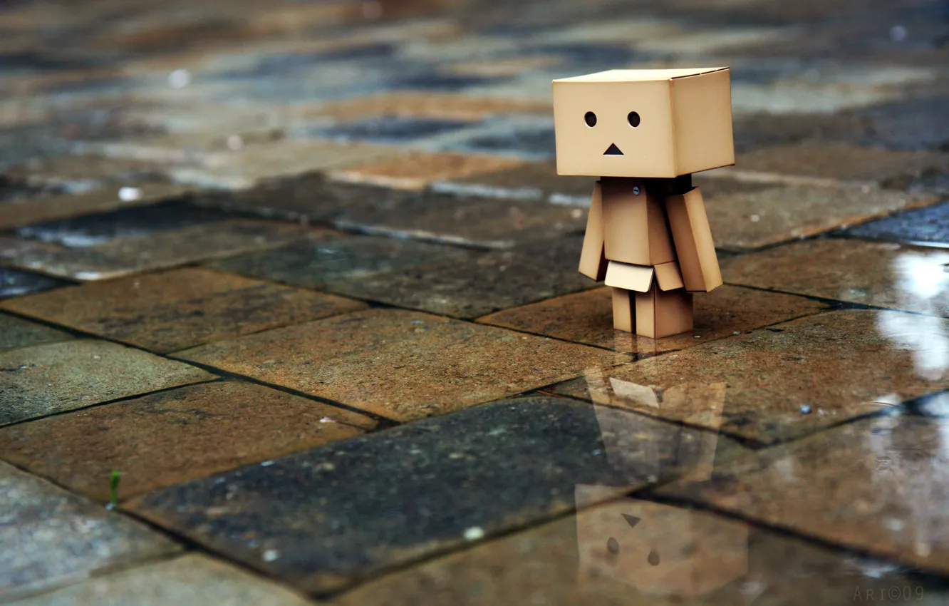Photo wallpaper sadness, rain, tile, men, danbo, boxed, box