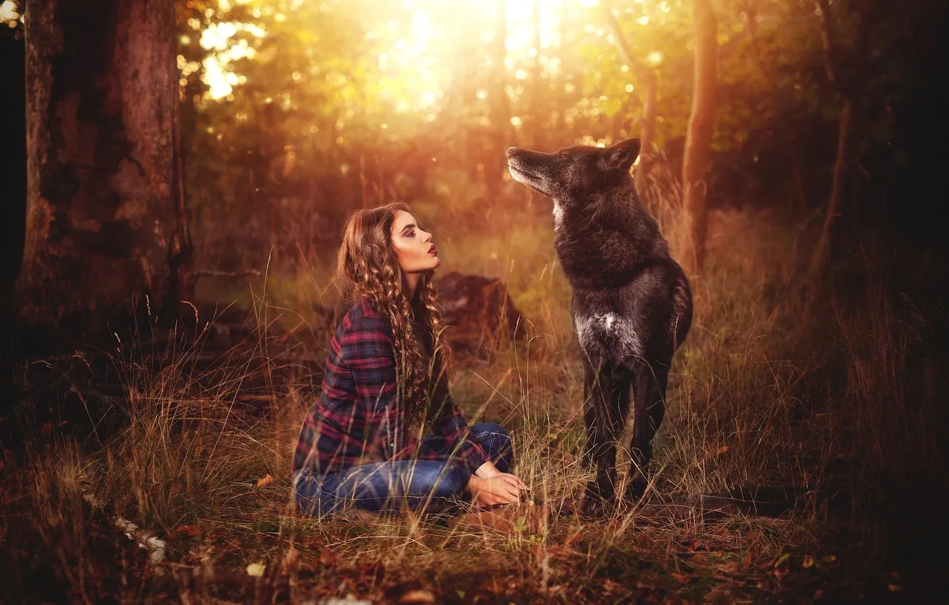 Photo wallpaper forest, grass, girl, light, nature, each, glade, black