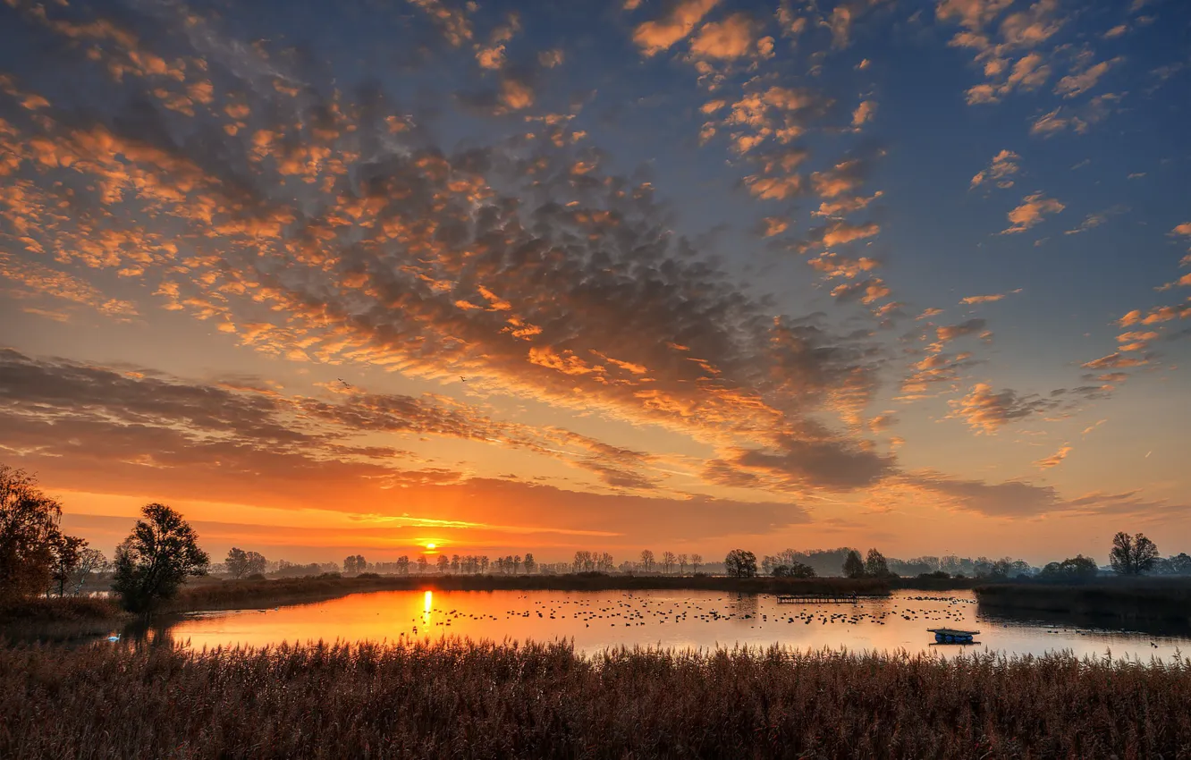 Photo wallpaper lake, dawn, morning, Germany