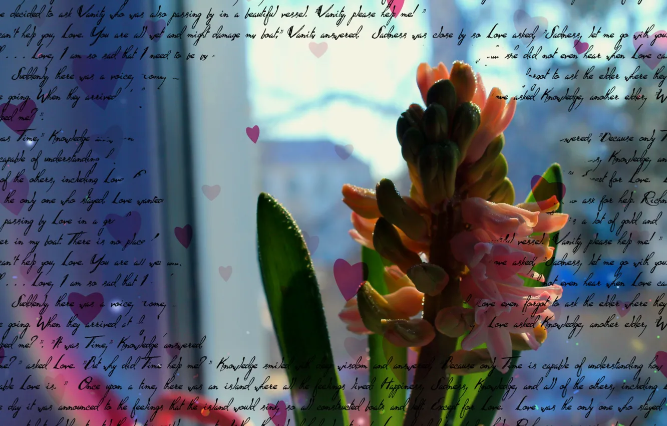 Photo wallpaper flower, labels, the inscription, heart, flower, heart, inscription, writing