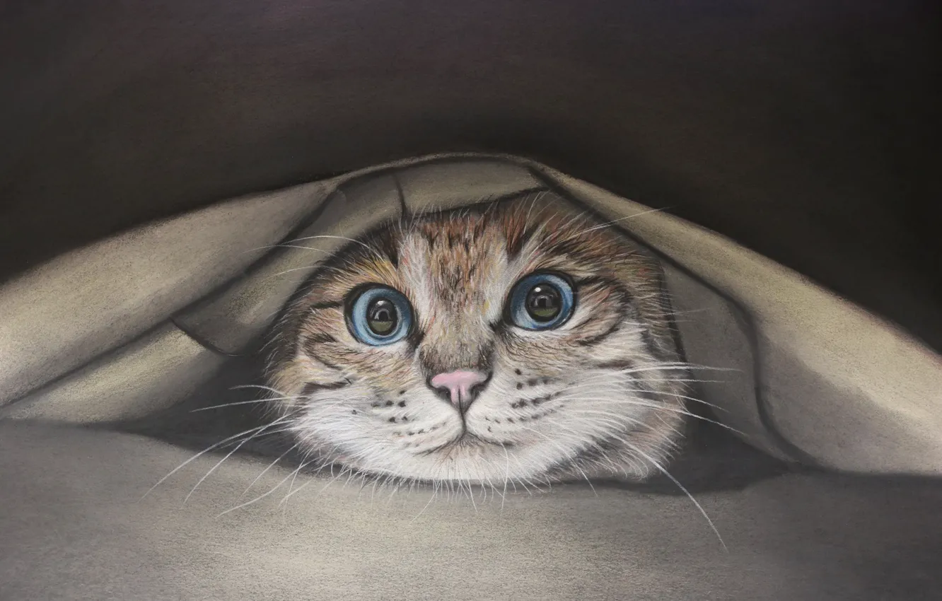 Photo wallpaper cat, cat, fabric