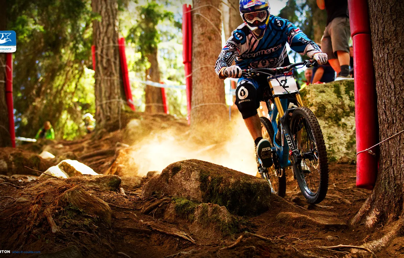 Photo wallpaper forest, speed, dust, Bike, Mountain bike, Bike