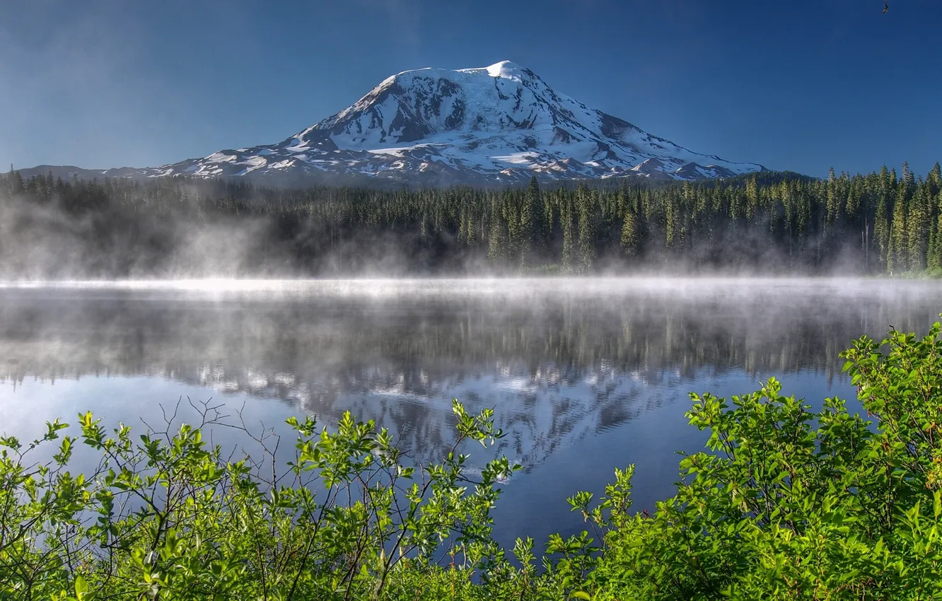 Photo wallpaper forest, lake, reflection, mountain, morning, the volcano, Washington, the bushes