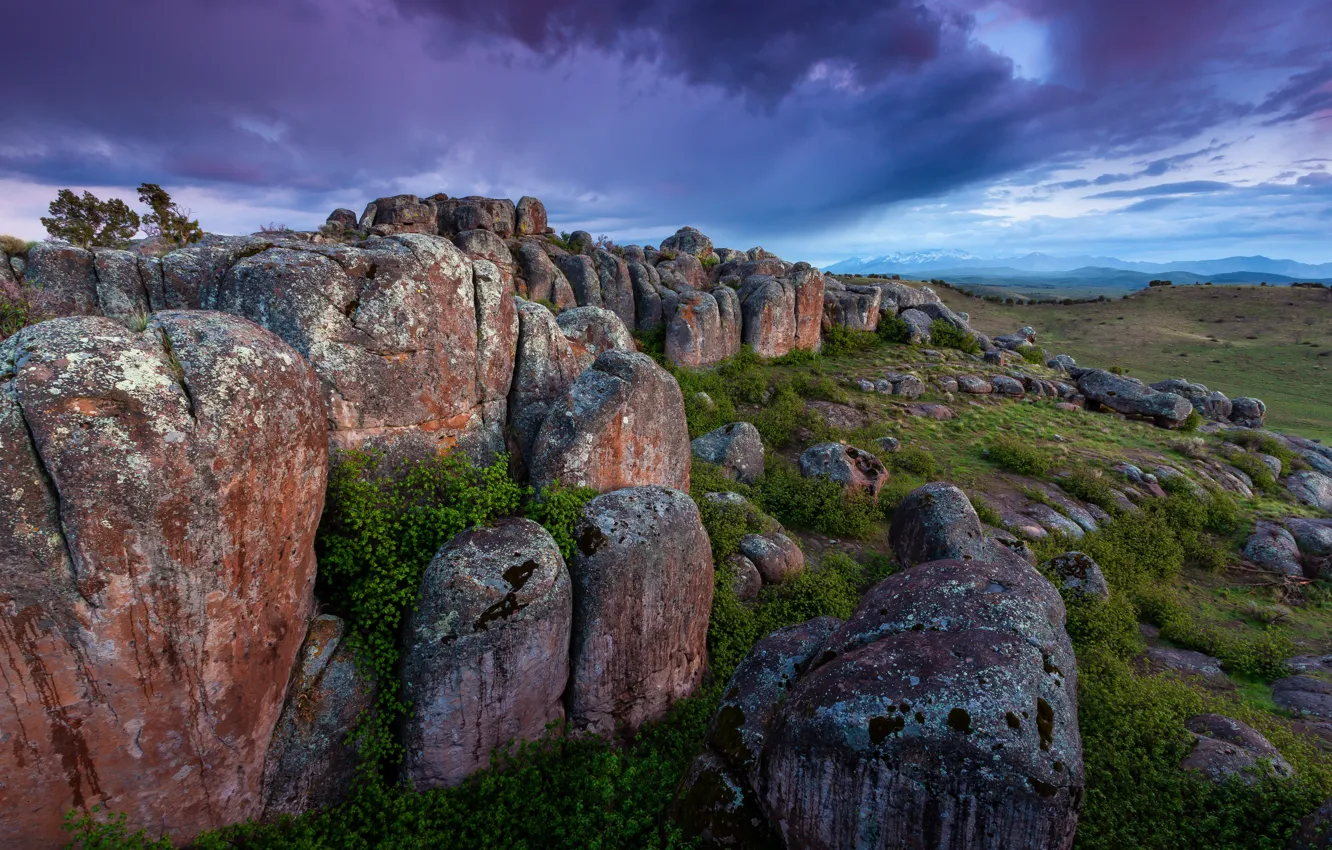 Photo wallpaper field, the sky, stones