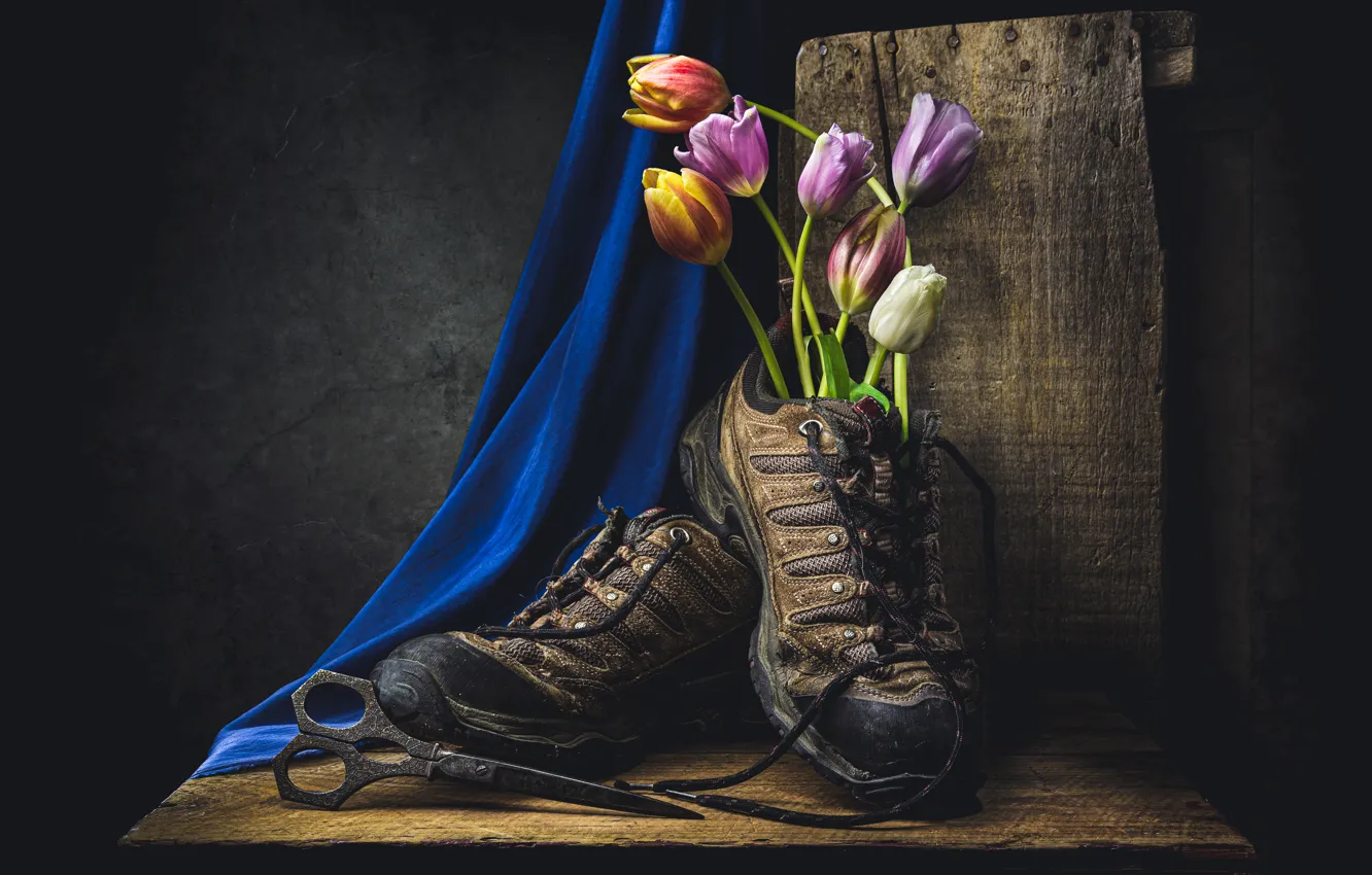 Photo wallpaper flowers, bouquet, Shoe