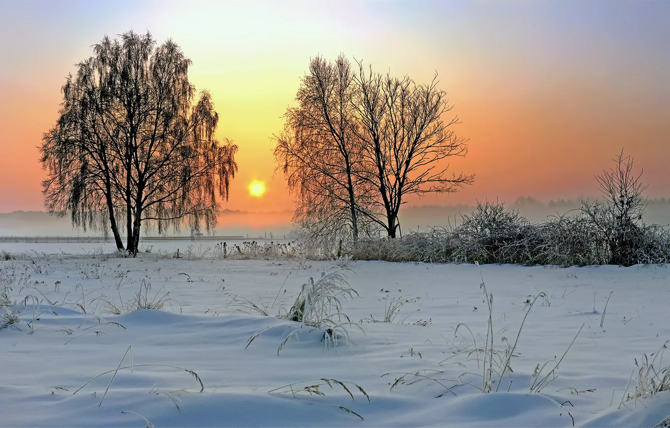 Photo wallpaper winter, the sun, nature, sunrise