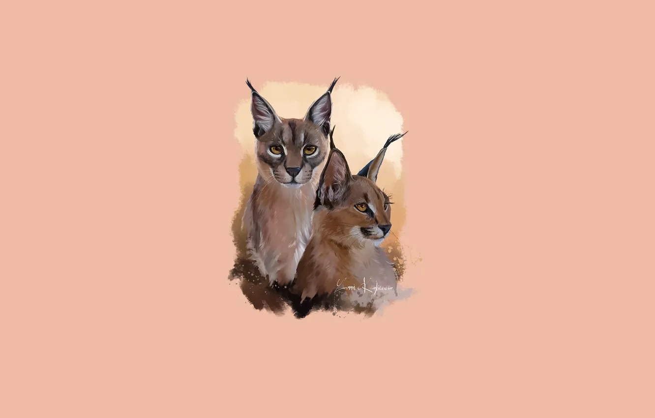 Photo wallpaper pair, ears, Caracal