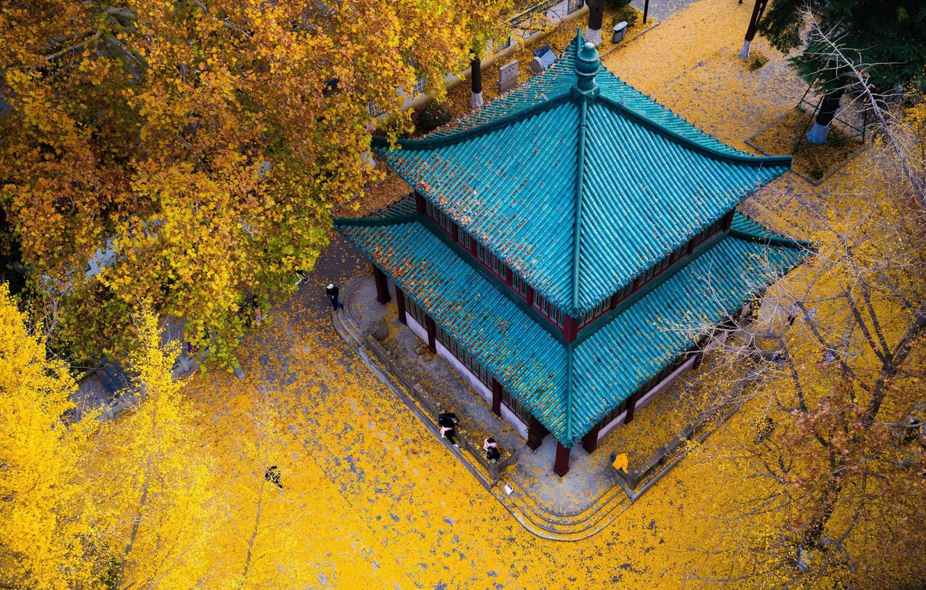 Photo wallpaper autumn, China, temple, pagoda, Nanjing, Jiangsu Province