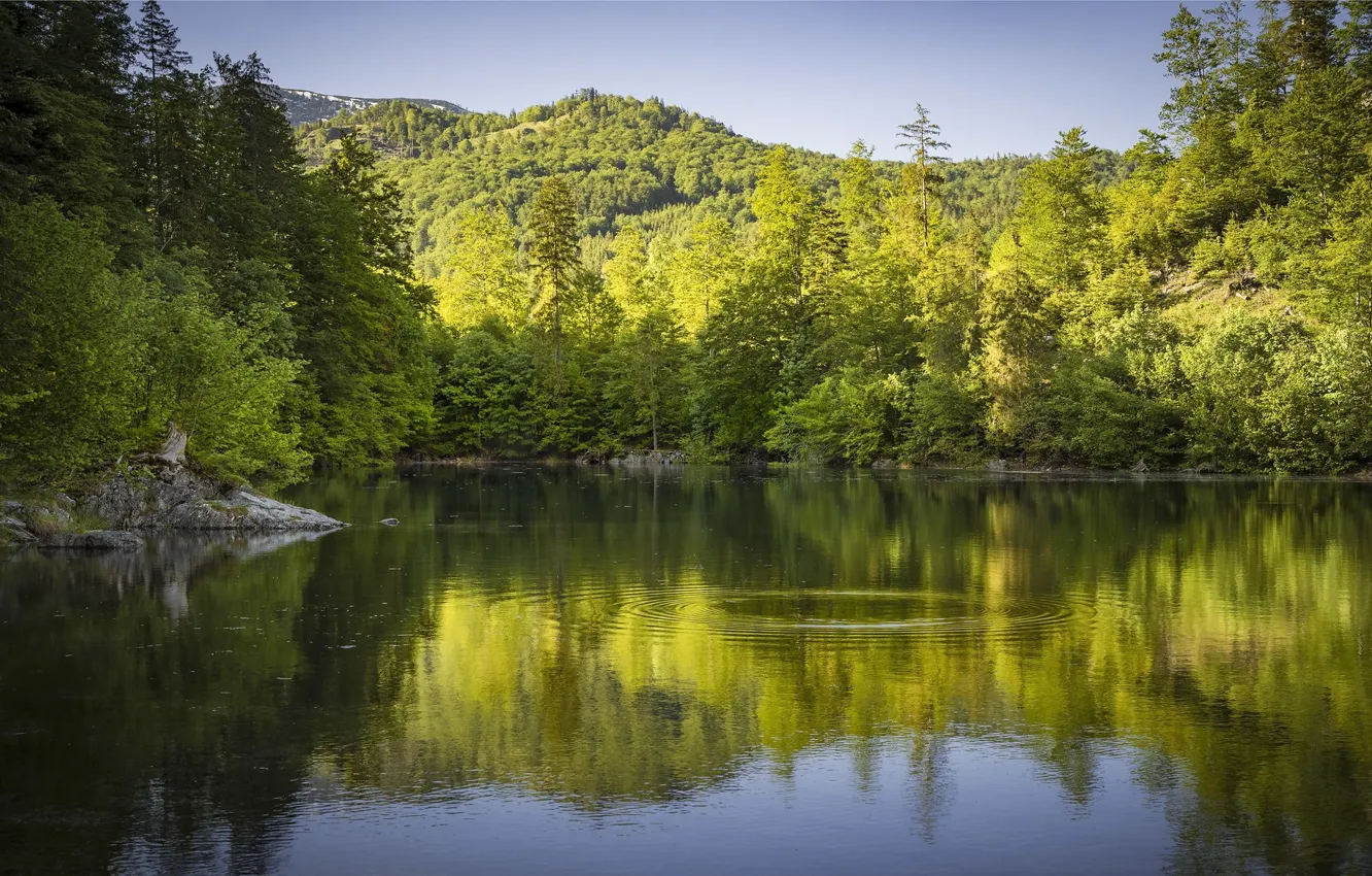 Photo wallpaper greens, landscape, mountains, nature, lake, river, beauty, circles on the water