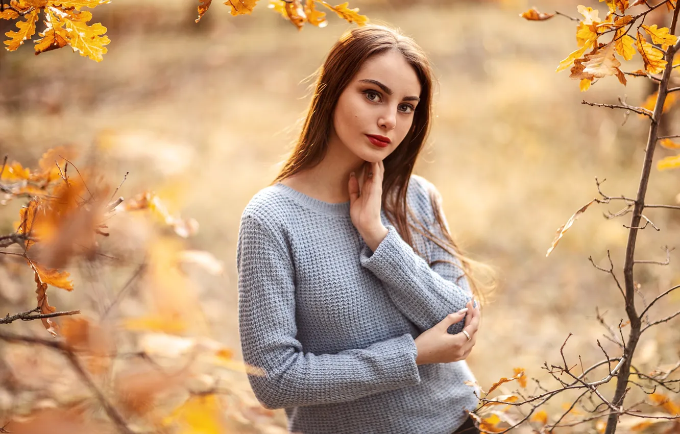 Photo wallpaper autumn, look, leaves, the sun, branches, nature, pose, model