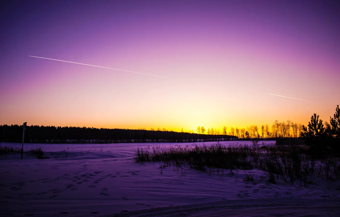 Photo wallpaper winter, road, forest, the sky, grass, snow, trees, sunset