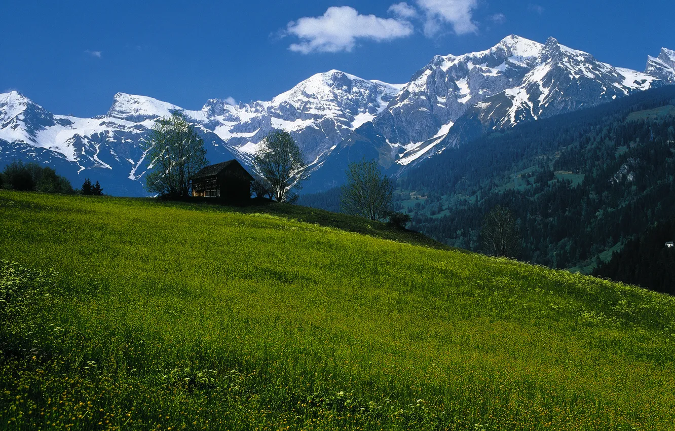 Photo wallpaper the sky, mountains, Austria, meadow, house