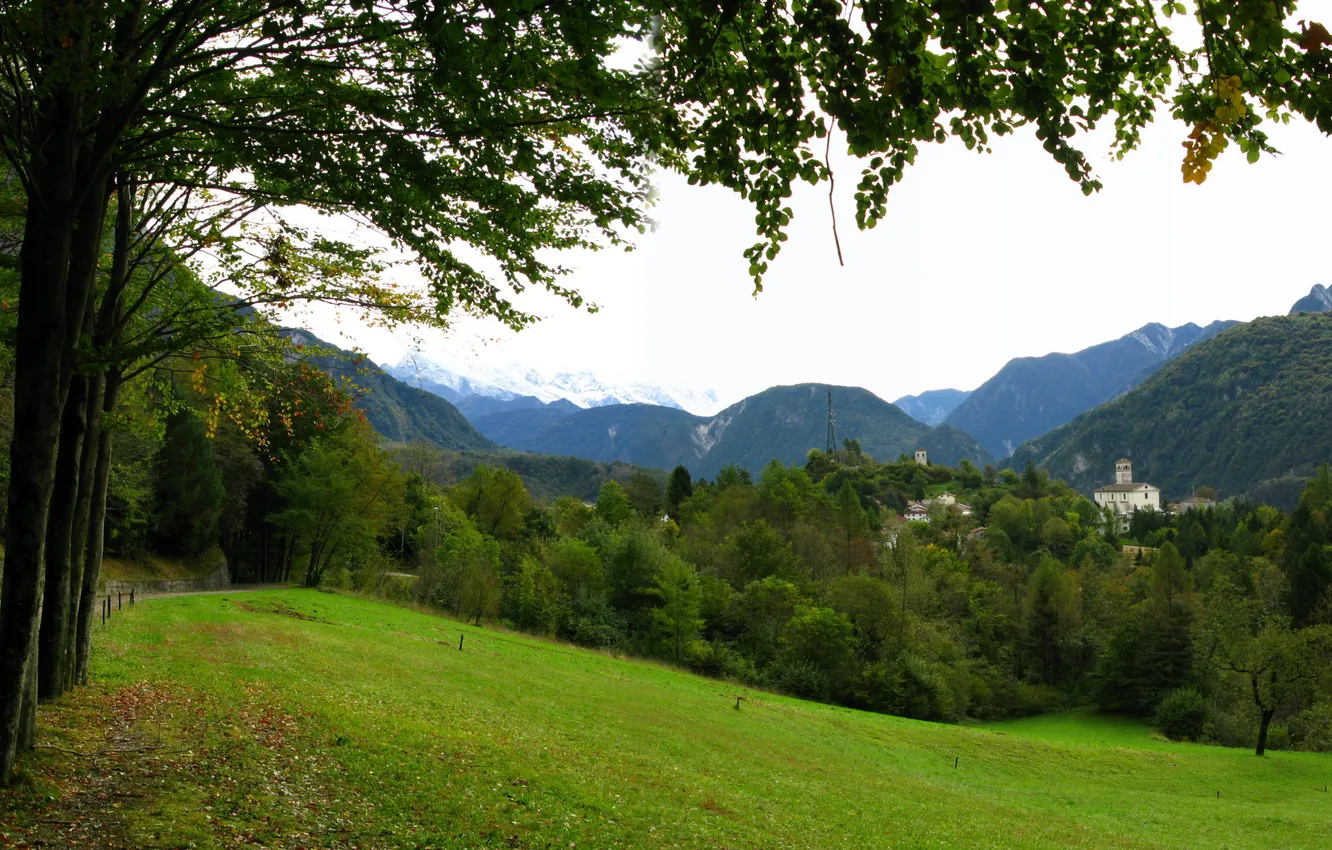 Photo wallpaper forest, summer, grass, trees, mountains, nature, Park, photo