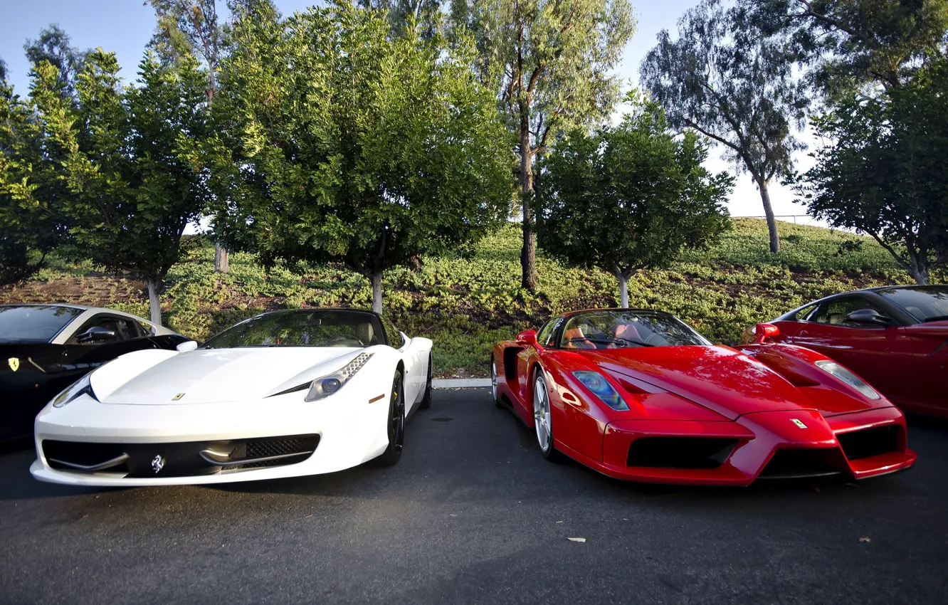 Photo wallpaper Ferrari, red, supercar, enzo, front, 458 italia