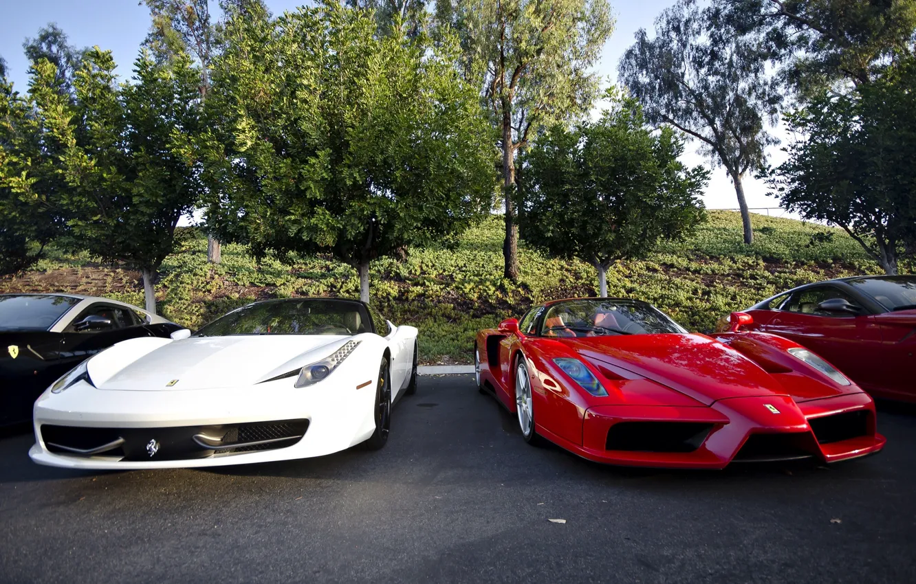 Photo wallpaper Ferrari, red, Front, enzo, 458 italia, Supercar