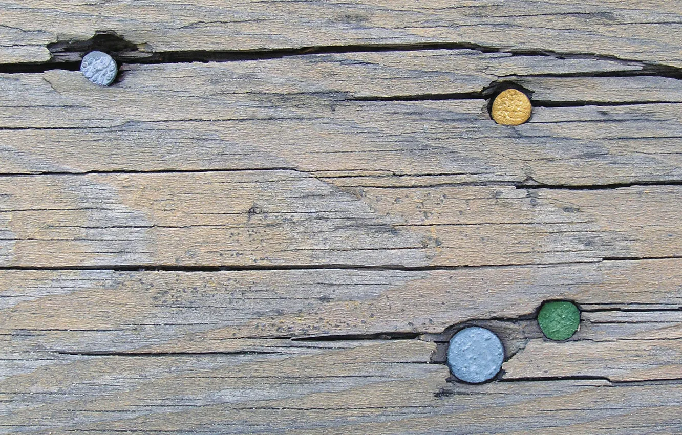 Photo wallpaper trees, Board, nails, grunge, grunge, Loft