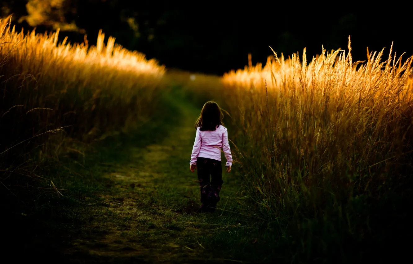 Photo wallpaper road, field, grass, children, the way, mood, thickets, mood