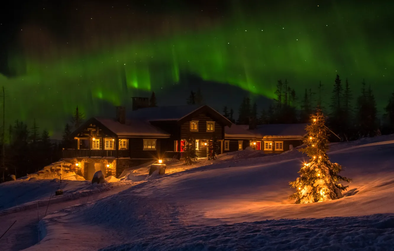 Photo wallpaper winter, house, holiday, Northern lights, Norway, tree