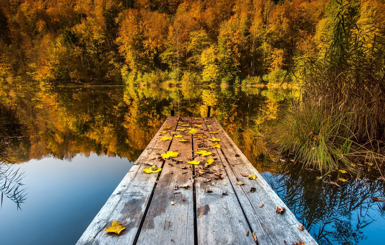 Photo wallpaper autumn, leaves, bridge, nature, lake