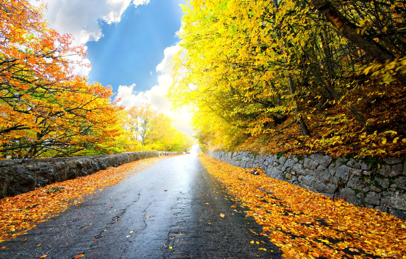 Photo wallpaper road, autumn, forest, the sky, leaves, clouds, trees, landscape
