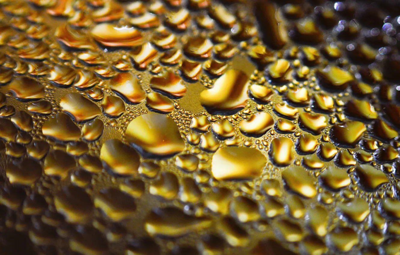 Photo wallpaper water, drops, macro, surface, glare, lights, Shine, moisture