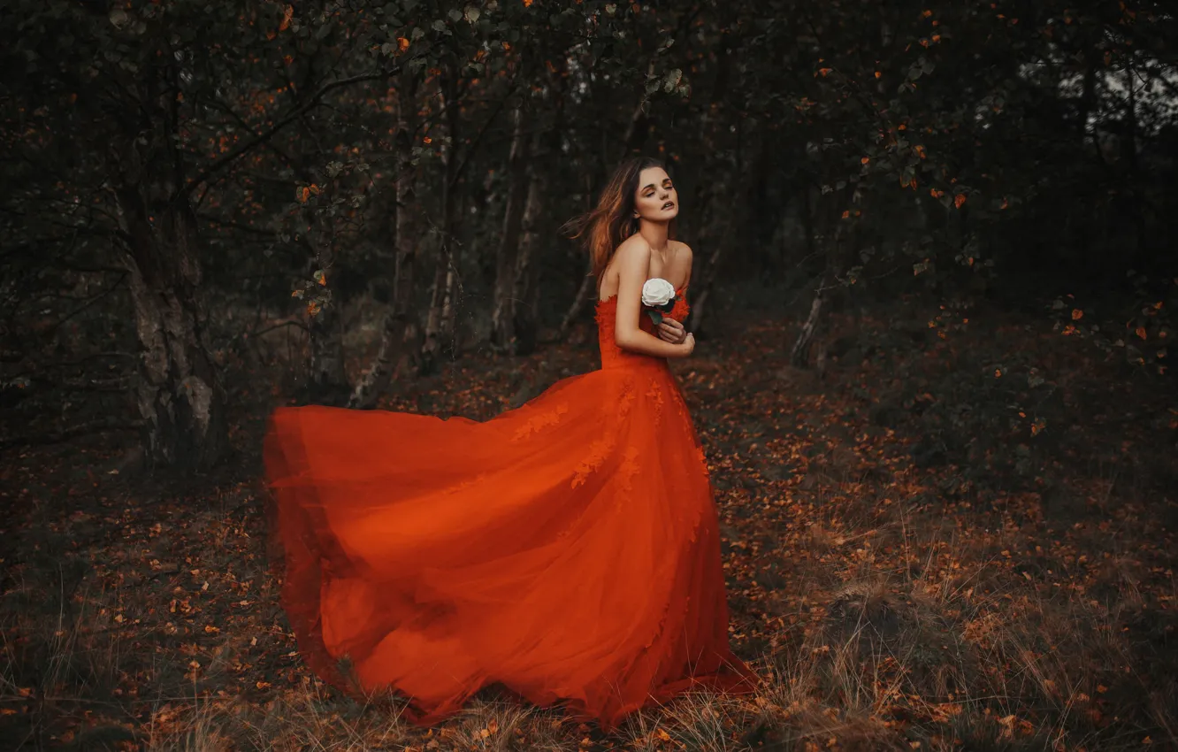 Photo wallpaper autumn, forest, flower, girl, mood, red dress, white rose, Jodi Lakin