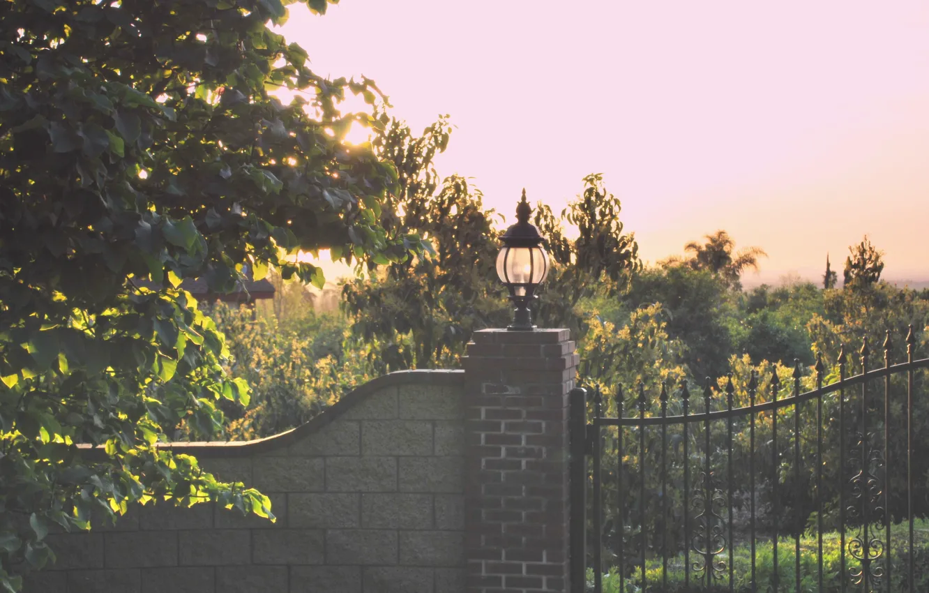 Photo wallpaper the sun, trees, mood, morning, fence, lights