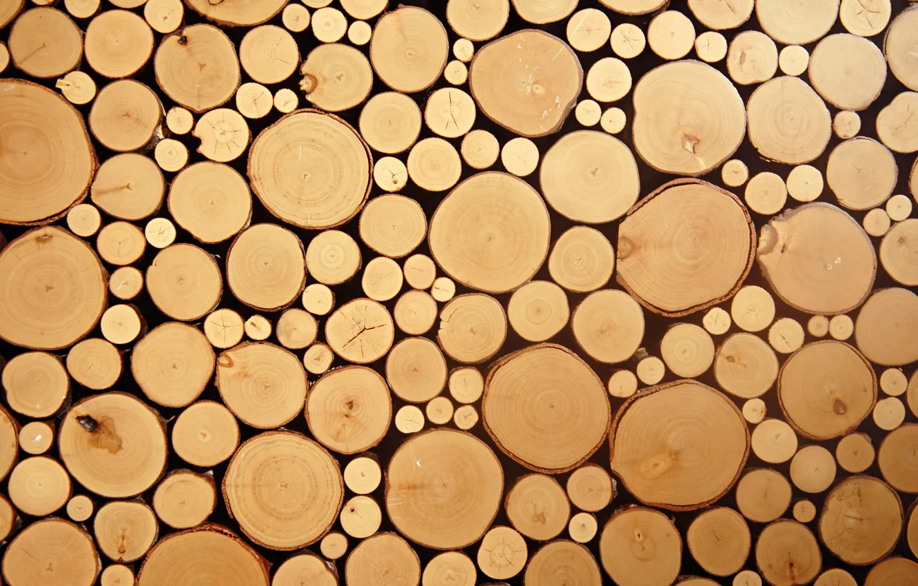 Photo wallpaper wood, circles, cut logs