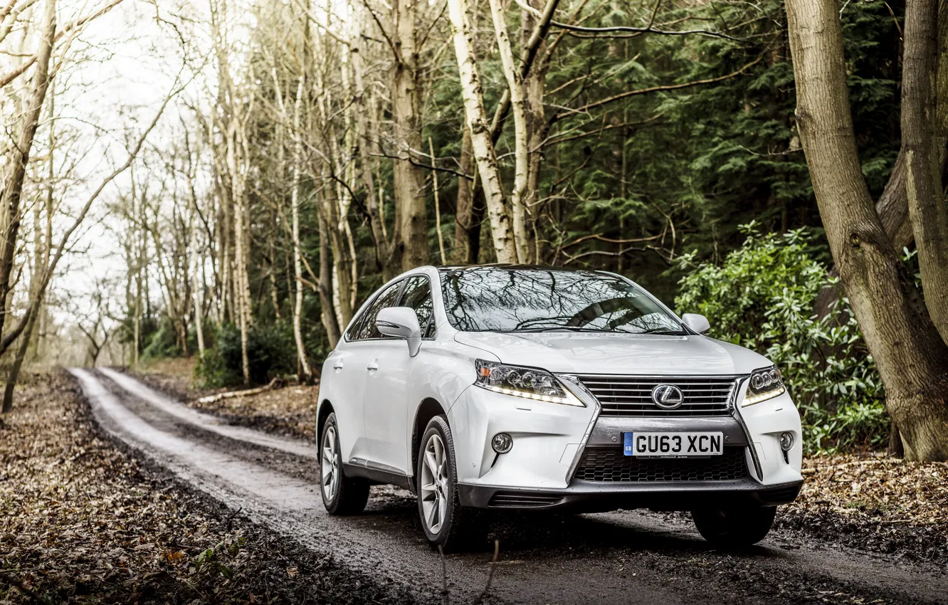 Photo wallpaper Lexus, 2012, Lexus, UK-spec, F-Sport, RX 450h