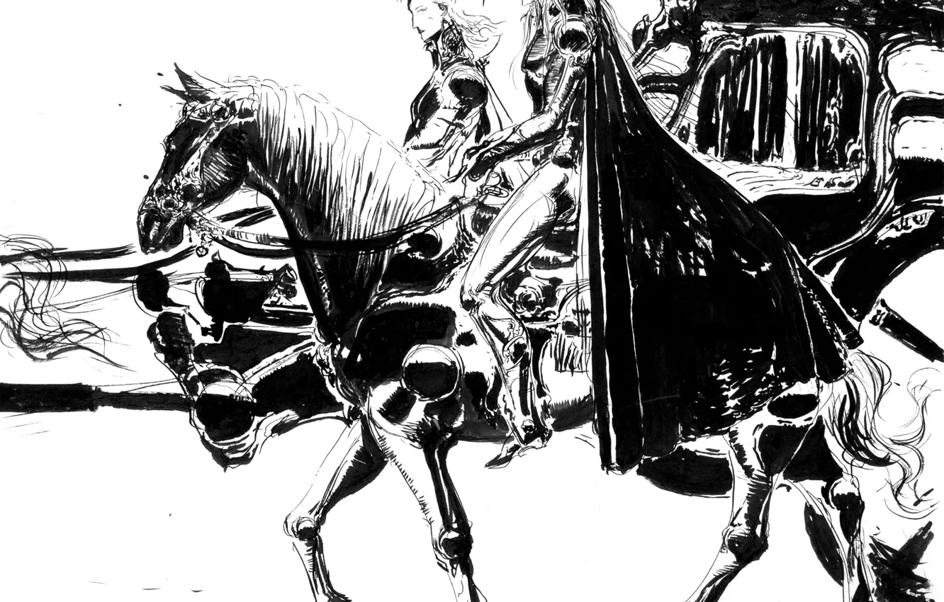 Photo wallpaper horse, graphics, sword, hat, black and white, rider, coach, cloak