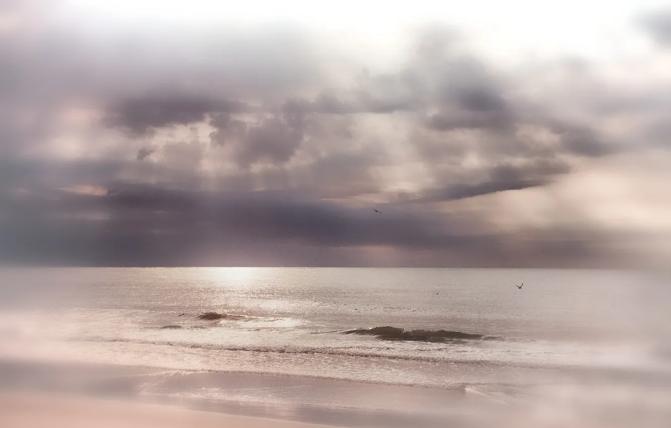 Photo wallpaper sea, beach, rays, light, clouds, bird, solar