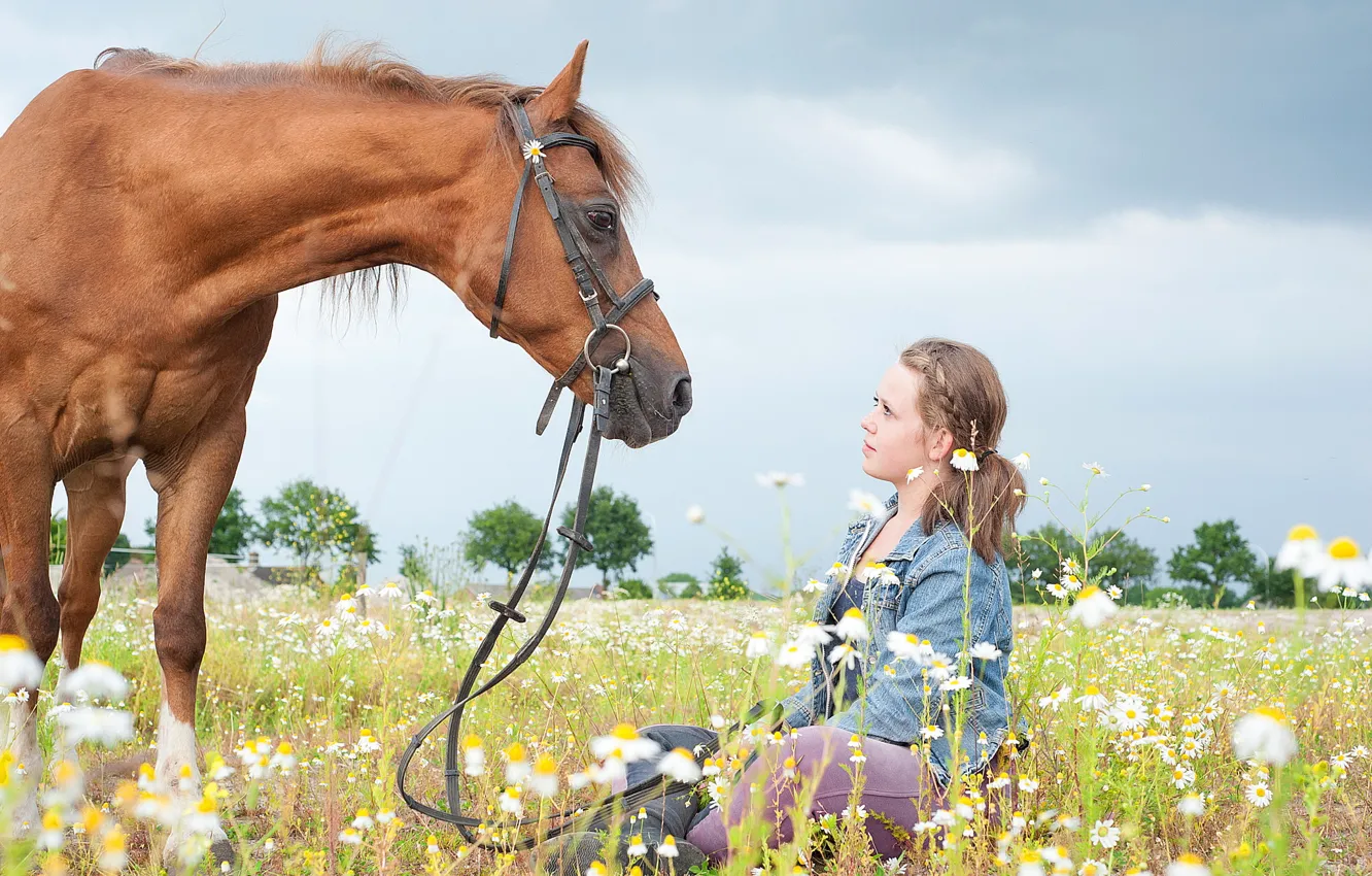 Photo wallpaper girl, horse, chamomile