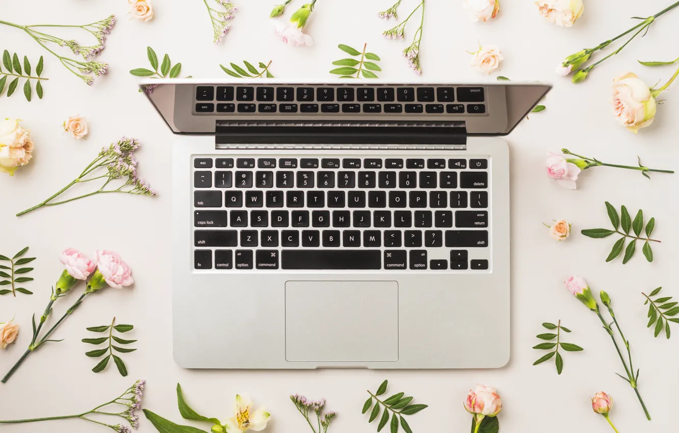 Photo wallpaper Flowers, Keyboard, Background, Laptop