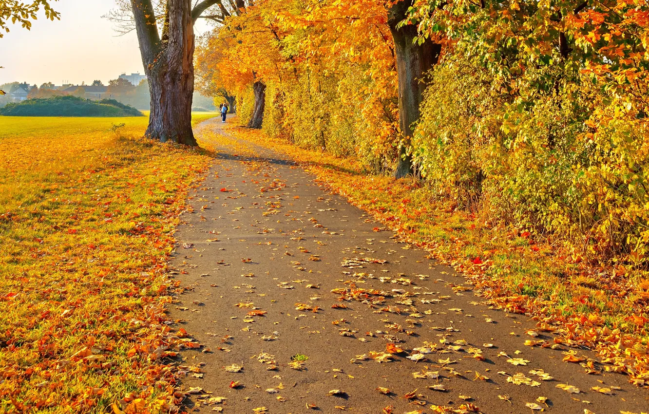 Photo wallpaper road, autumn, leaves, trees, landscape, people, yellow