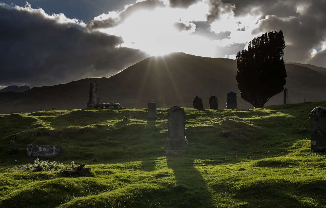Photo wallpaper grass, the sun, rays, light, trees, mountains, clouds, hills