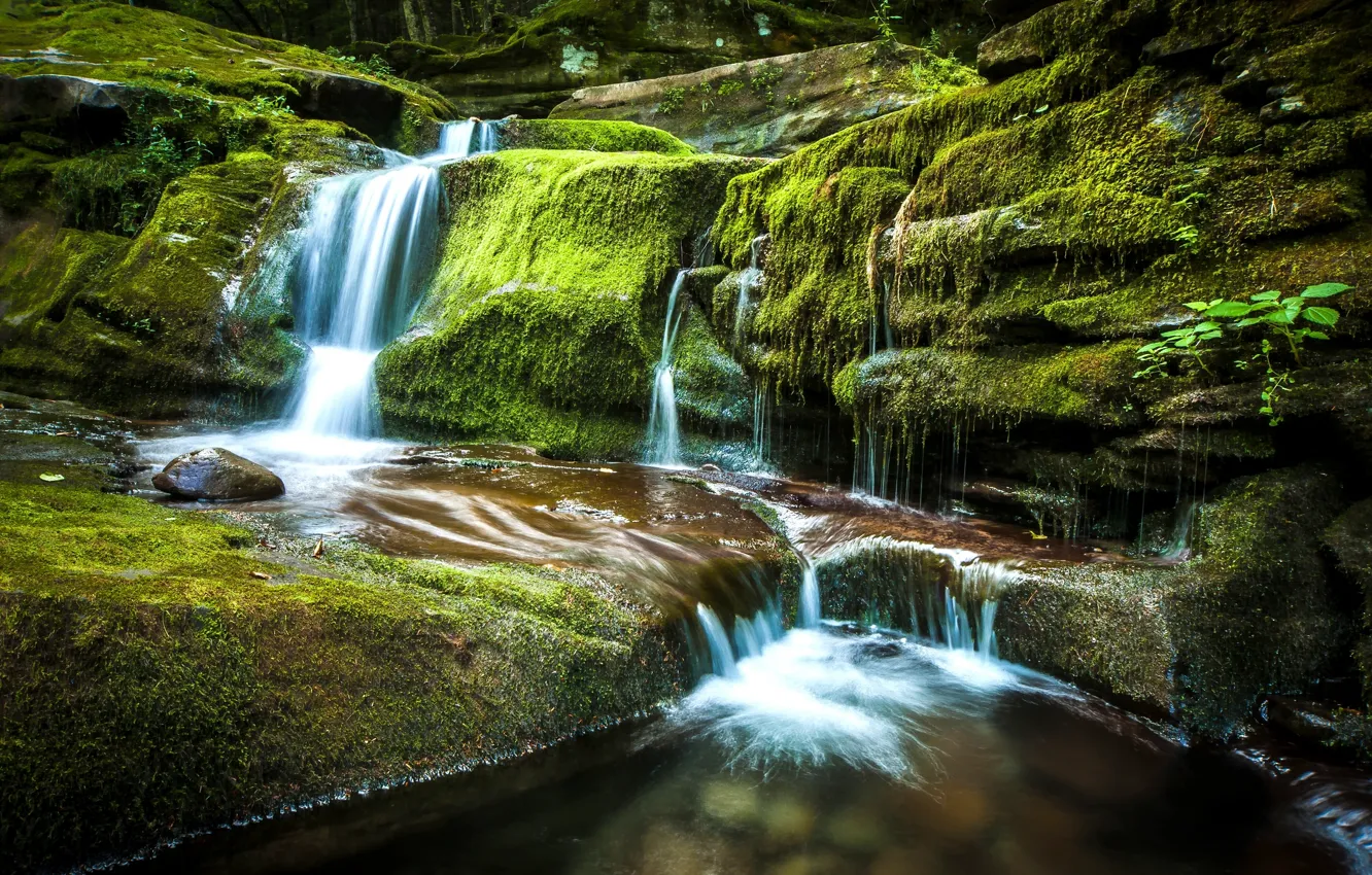 Photo wallpaper stones, waterfall, moss, cascade, New York, the state of new York, Andes, Tompkins Falls