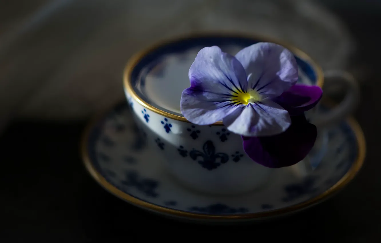 Photo wallpaper flowers, background, Cup