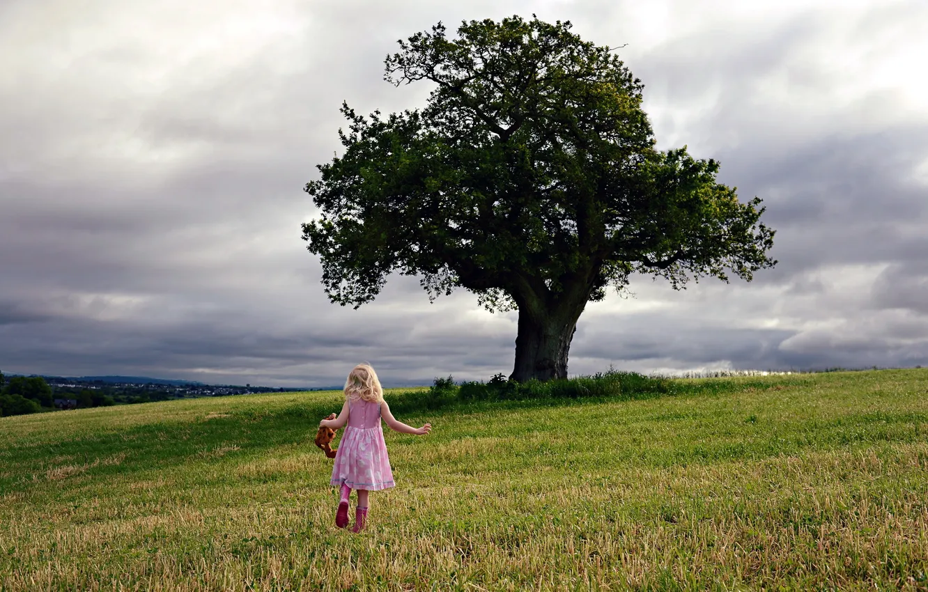 Photo wallpaper field, trees, mood, girl